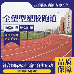 全塑型塑胶跑道