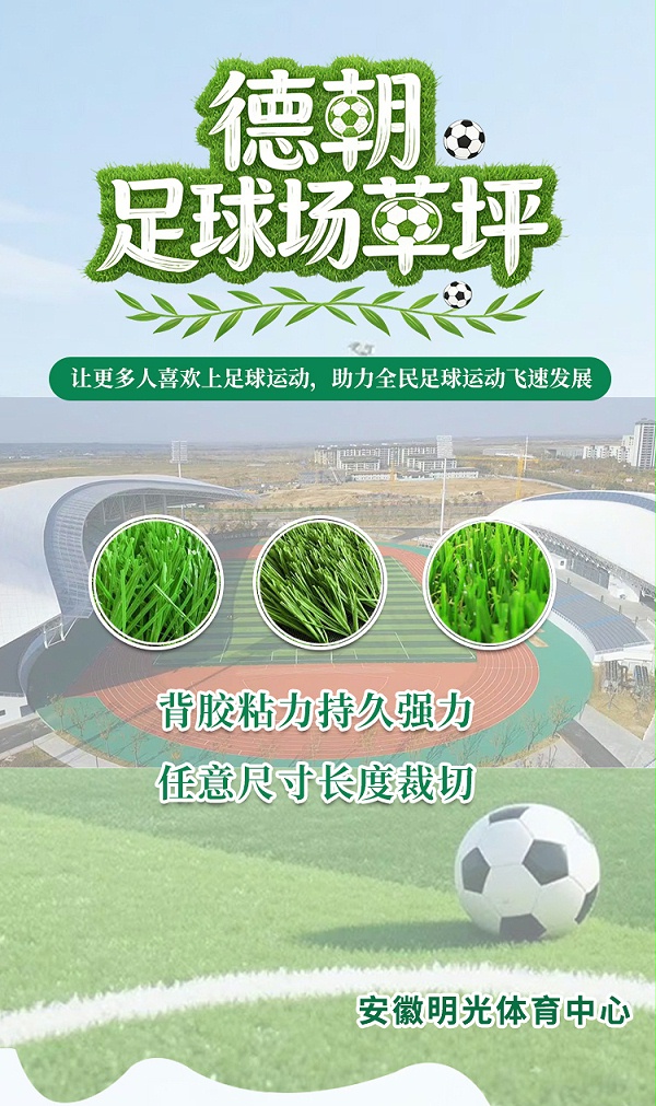 德朝足球场草坪_01