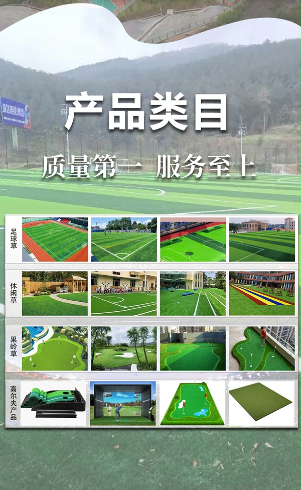 德朝足球场草坪_06