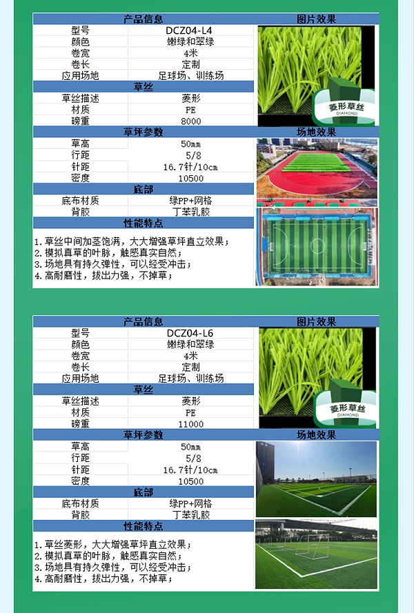 德朝足球场草坪_12